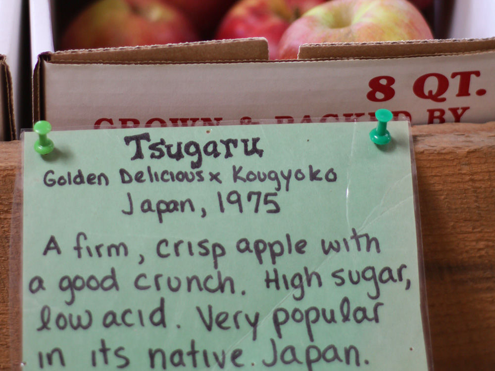 Tsugaru Apple on B.118 - Cummins Nursery - Fruit Trees